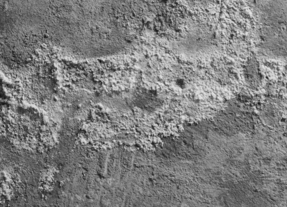 image remontées capillaires