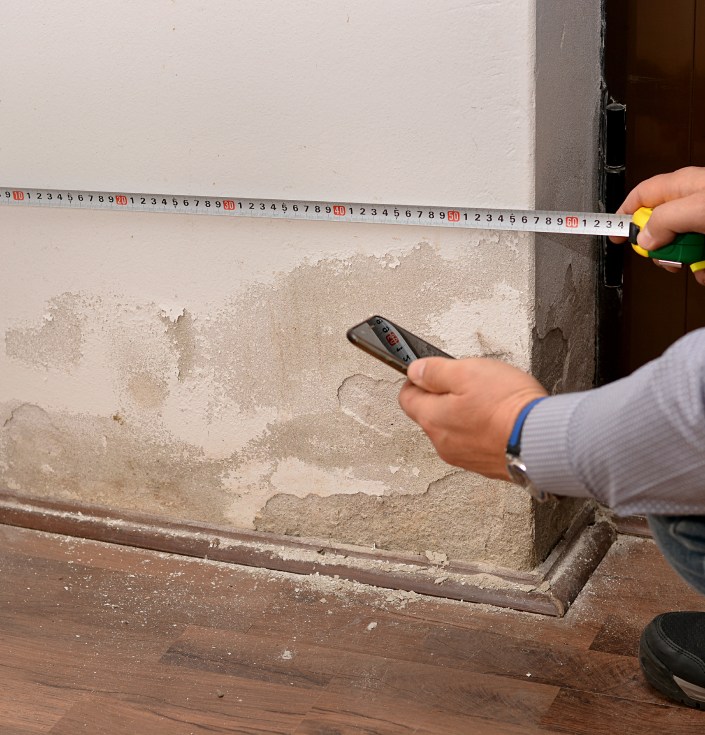 professionnel humidité